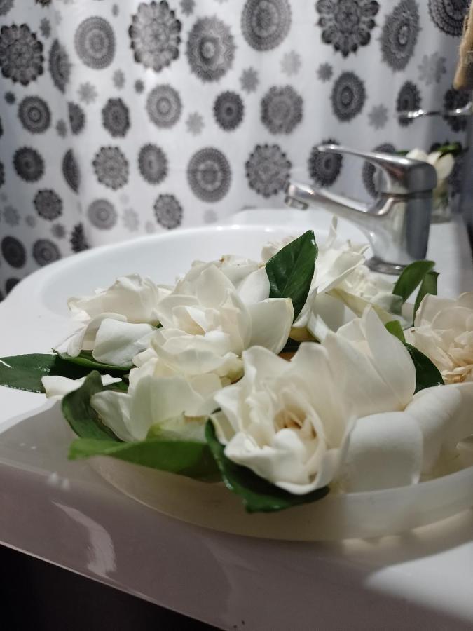 Hostal Ciudad Recoleta 布宜诺斯艾利斯 外观 照片